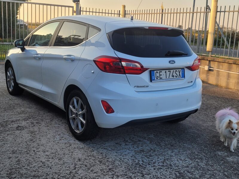 Ford Fiesta 1.0 Ecoboost Hybrid 125 CV 5 porte Titanium