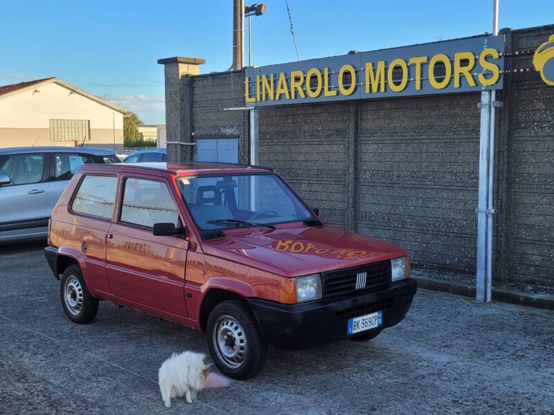 Fiat Panda 900 i.e. cat Young