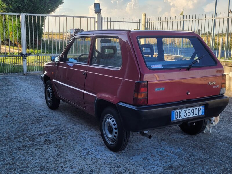 Fiat Panda 900 i.e. cat Young