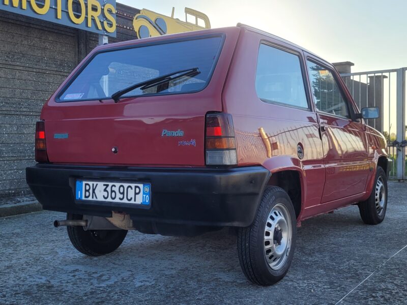 Fiat Panda 900 i.e. cat Young