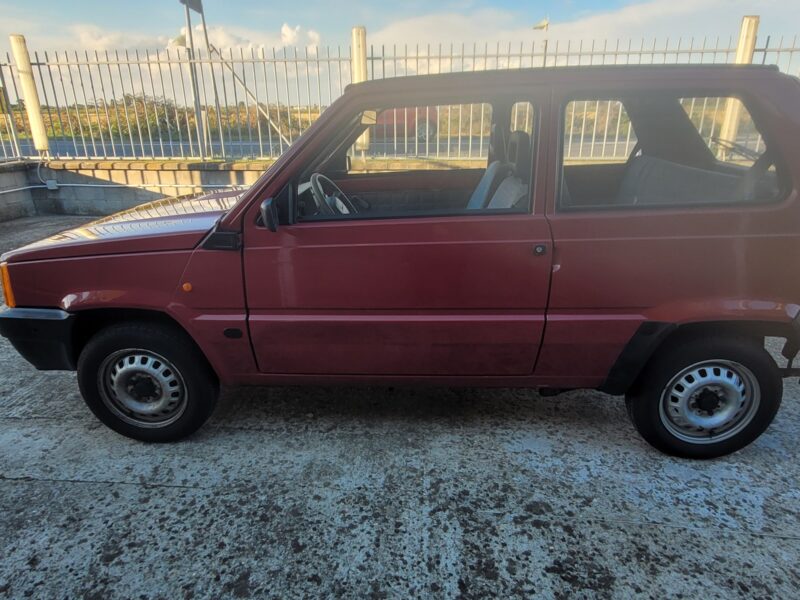 Fiat Panda 900 i.e. cat Young