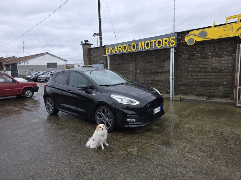 Ford Fiesta 1.5 EcoBlue 5 porte ST-Line