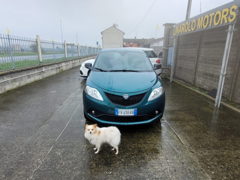 lancia ypsilon gpl unico prop